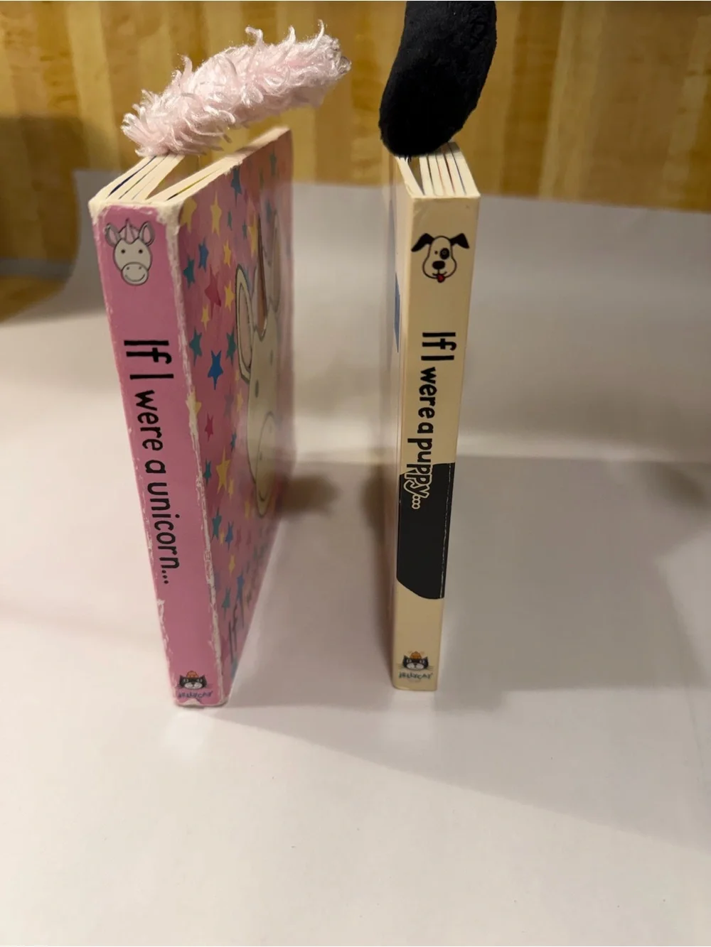 Jelly cat book (2)